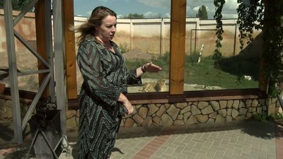 Самець демонструє владу: як обживаються в Луцьку миколаївські левенята Самець демонструє владу: як обживаються в Луцьку миколаївські левенята