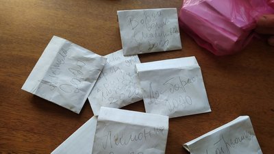 Житель Тернополя готується вирощувати помідори в центрі міста Житель Тернополя готується вирощувати помідори в центрі міста