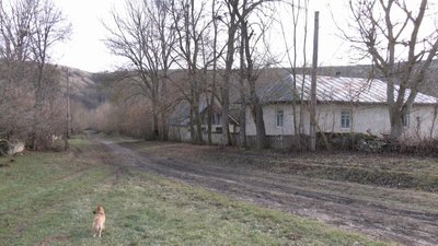 Продукти привозять раз на тиждень. Як живе віддалене село Хмельниччини Продукти привозять раз на тиждень. Як живе віддалене село Хмельниччини