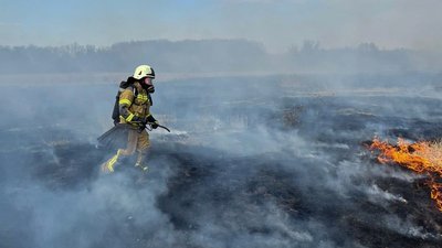 На Черкащині протягом доби вигоріло 10 гектарів сухостою та очерету