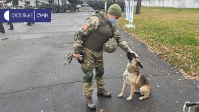 Кінологи Кінологи