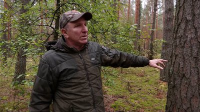 Виріс попит та черги на дрова: як на Чернігівщині люди готуються до холодів Виріс попит та черги на дрова: як на Чернігівщині люди готуються до холодів