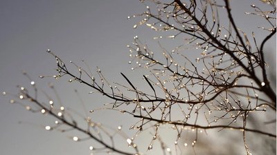 Лютнева спека в Києві побила рекорд за 140 років спостережень