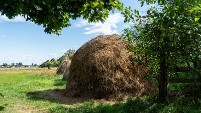 Село. Чернігівщина. Сіно. Підготовка до зими Село. Чернігівщина. Сіно. Підготовка до зими