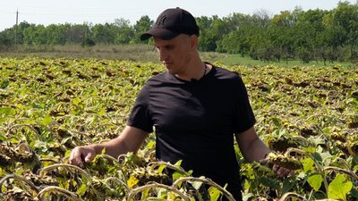 "Хлібороб – вільна людина в незалежній державі",– аграрій з Кіровоградщини "Хлібороб – вільна людина в незалежній державі",– аграрій з Кіровоградщини