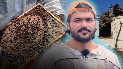 Утримують 60 сімей бджіл: як фермер відновлює пасіку у зруйнованому селищі на Миколаївщині
