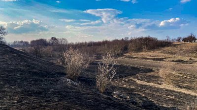 На Черкащині за добу тричі ліквідували пожежі сухої рослинності На Черкащині за добу тричі ліквідували пожежі сухої рослинності