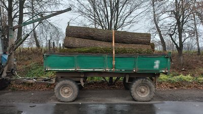 Вказав у документах іншу кількість: на Вінниччині чоловік незаконно перевозив деревину
