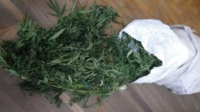 Мішок з канабісом вилучили поліцейські у 26-річного прикарпатця