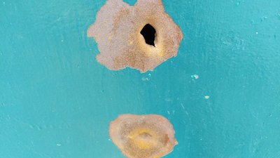 Військові РФ обстріляли психоневрологічний інтернат на Сумщині