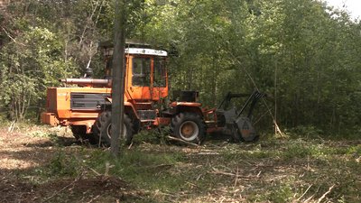 Енергетики і негода Енергетики і негода
