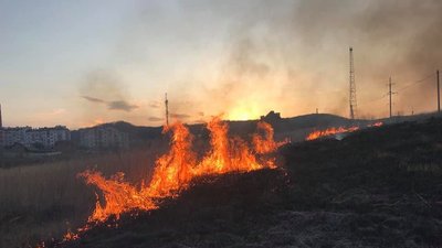 Від початку року на Львівщині зафіксували понад дві тисячі пожеж сухої трави