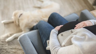У світі падає народжуваність попри пандемію. Чому й до чого це може призвести