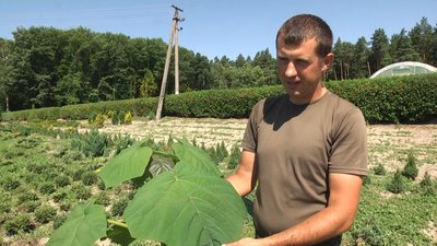 У лісі поблизу Житомира відкрили рекреаційну лісову стежку У лісі поблизу Житомира відкрили рекреаційну лісову стежку