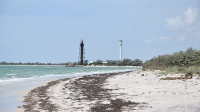 На острові Джарилгач на Херсонщині відбувся забіг На острові Джарилгач на Херсонщині відбувся забіг