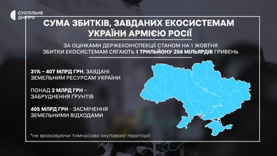 Поля у вогні. Експерти розповіли, як впливає війна на родючість українських земель Поля у вогні. Експерти розповіли, як впливає війна на родючість українських земель