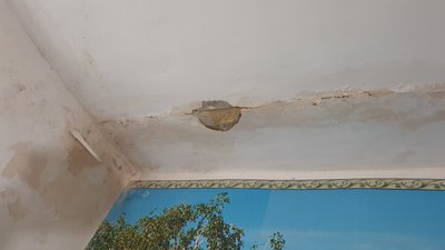 "У кімнатах сирість та пліснява". У геріатричному пансіонаті на Кіровоградщині три роки протікає дах "У кімнатах сирість та пліснява". У геріатричному пансіонаті на Кіровоградщині три роки протікає дах