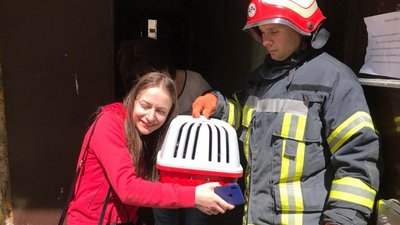 Рятувальники знайшли кота, який загубився під час обвалу будинку в центрі Одеси
