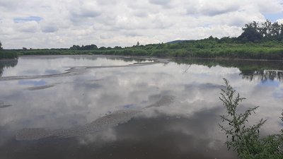 У Львові укріпили дамби на очисних спорудах "Львівводоканалу"
