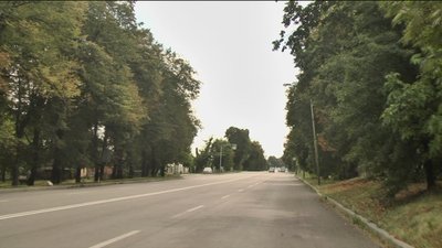 Алея вікових лип в Літині Алея вікових лип в Літині