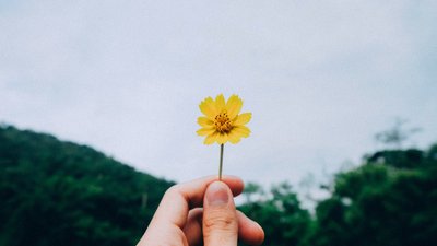 Хюґе по-українськи. Що таке щастя і де нам його знайти Хюґе по-українськи. Що таке щастя і де нам його знайти