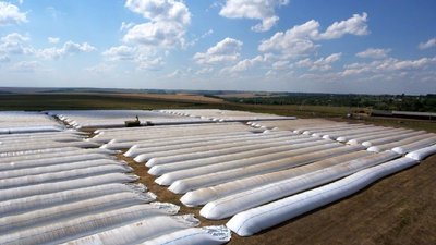 Рівненщина почала отримувати рукави для зберігання зерна. Чому це важливо