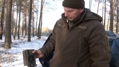 Півтисячі рейдів — майже 50 порушників: чи рубають волиняни новорічні дерева у лісі