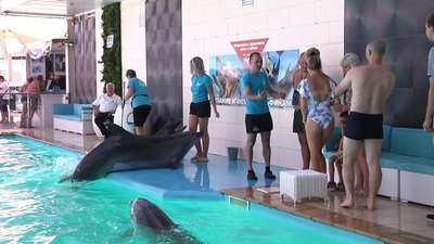 Ветерани АТО та ООС пройшли реабілітацію з дельфінами в Одесі Ветерани АТО та ООС пройшли реабілітацію з дельфінами в Одесі