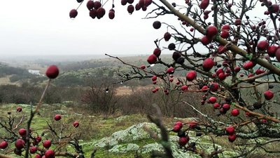 Мінлива хмарність, без опадів. Погода на Кіровоградщині на наступний тиждень