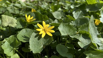 Прогноз погоди на Рівненщині на 2,3,4 травня