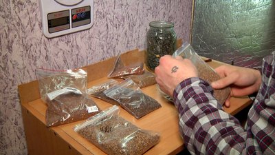 Хобі перетворив на роботу. Вінничан вирощує мікрогрін у себе на підвіконні Хобі перетворив на роботу. Вінничан вирощує мікрогрін у себе на підвіконні