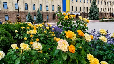 Якою буде погода на Кіровоградщині 20 та 21 червня – Суспільне Кропивнцький