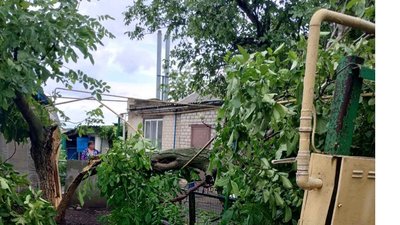 Дерево впало на газопровід у Запоріжжі