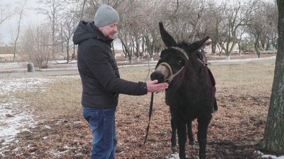 Ослиця Данка зустрічає туристів, що приїжджають до села Ослиця Данка зустрічає туристів, що приїжджають до села