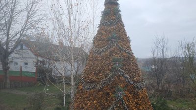 Рекорд країни та привітання скайпом: на Одещині відкрили резиденцію Святого Миколая Рекорд країни та привітання скайпом: на Одещині відкрили резиденцію Святого Миколая