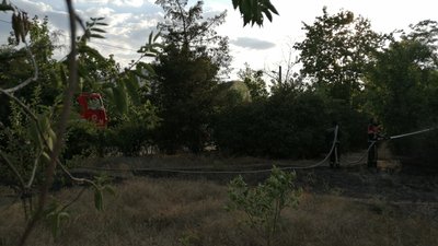 У міському парку Херсона горіла трава