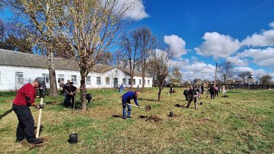 Висадили яблуні на честь загиблих дітей, "Гай дитячих снів"