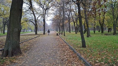 Дендропарк у Кропивницькому