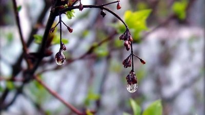 На Франківщині прогнозують дощ, град і посилення вітру