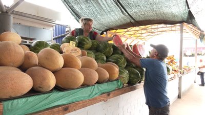 Сезон кавунів та динь: звідки везуть у Вінницю баштанні та яка їх ціна Сезон кавунів та динь: звідки везуть у Вінницю баштанні та яка їх ціна