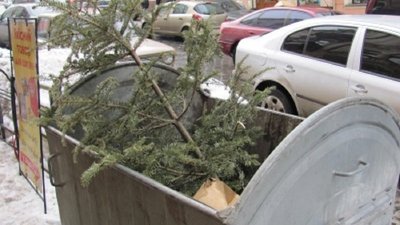 В Івано-Франківську визначили місця, де можна викинути новорічні ялинки