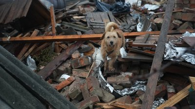 У Краснопіллі розповіли про вчительку, що загинула внаслідок російського обстрілу У Краснопіллі розповіли про вчительку, що загинула внаслідок російського обстрілу