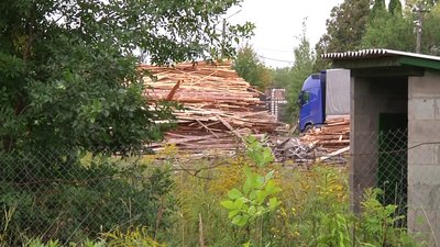 16-річна дівчина загинула на деревообробному підприємстві у Харитонівській громаді на Житомирщині 16-річна дівчина загинула на деревообробному підприємстві у Харитонівській громаді на Житомирщині