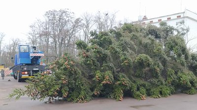 На Житомирщині в Коростені розпочали встановлювати головну новорічну ялинку міста На Житомирщині в Коростені розпочали встановлювати головну новорічну ялинку міста