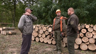 Попит на дрова на Хмельниччині: де купувати, аби не стати жертвою шахраїв Попит на дрова на Хмельниччині: де купувати, аби не стати жертвою шахраїв
