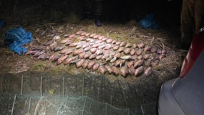 Виловили на понад 613 тисяч гривень: у Миколаївській області затримали рибалок