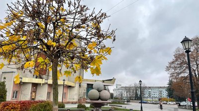 Житомир, погода, природа, листопад 2025 року