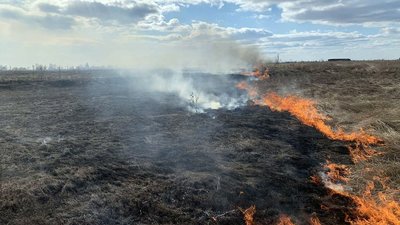 На Дніпропетровщині впродовж доби надзвичайники загасили 36 пожеж в екосистемах