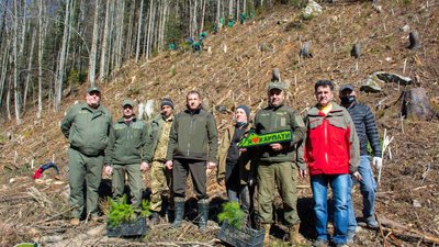 Прикарпатці висадили 700 дерев в урочищі Погорілий