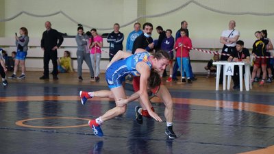 Волинські борчині Волинські борчині